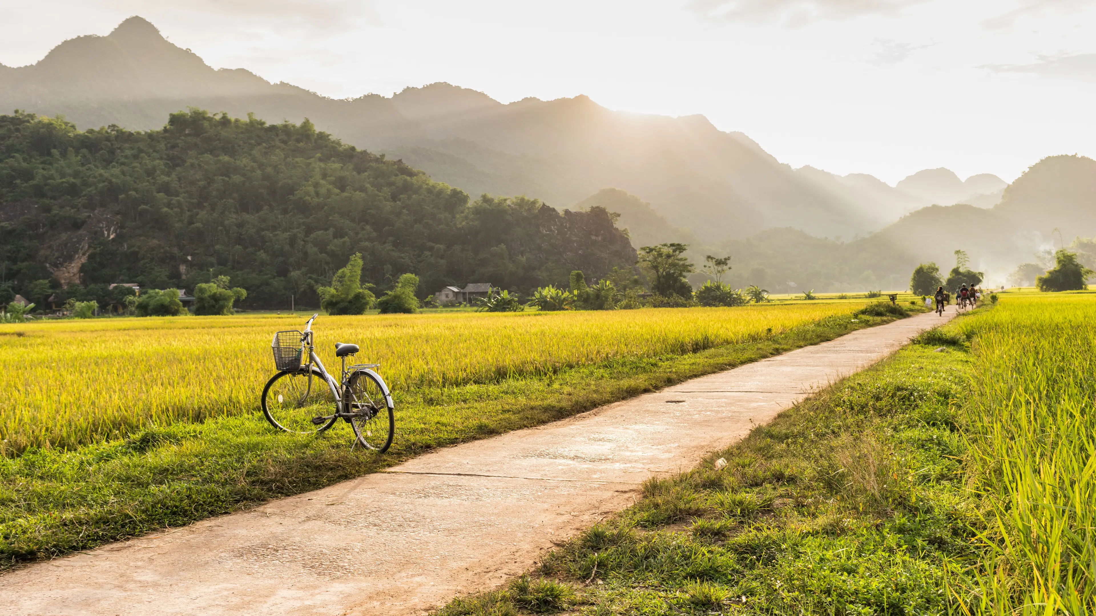 The Ultimate Guide to a Vietnam Countryside Bike Tour